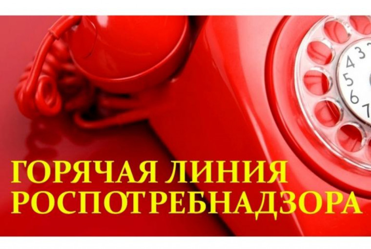 В России стартовала "горячая линия" по вопросам детского отдыха.